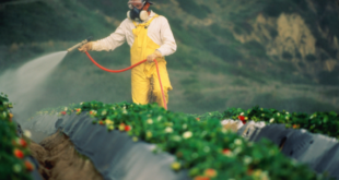 pesticidho