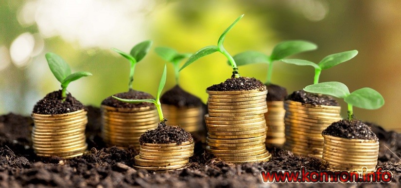 Accounts. Golden coins in soil with young plant isolated. Money growth