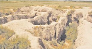 Остатки развалин города Суяб. Чуйская долина