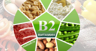 vitamin-b2-2