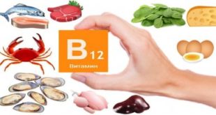 vitamini-b12