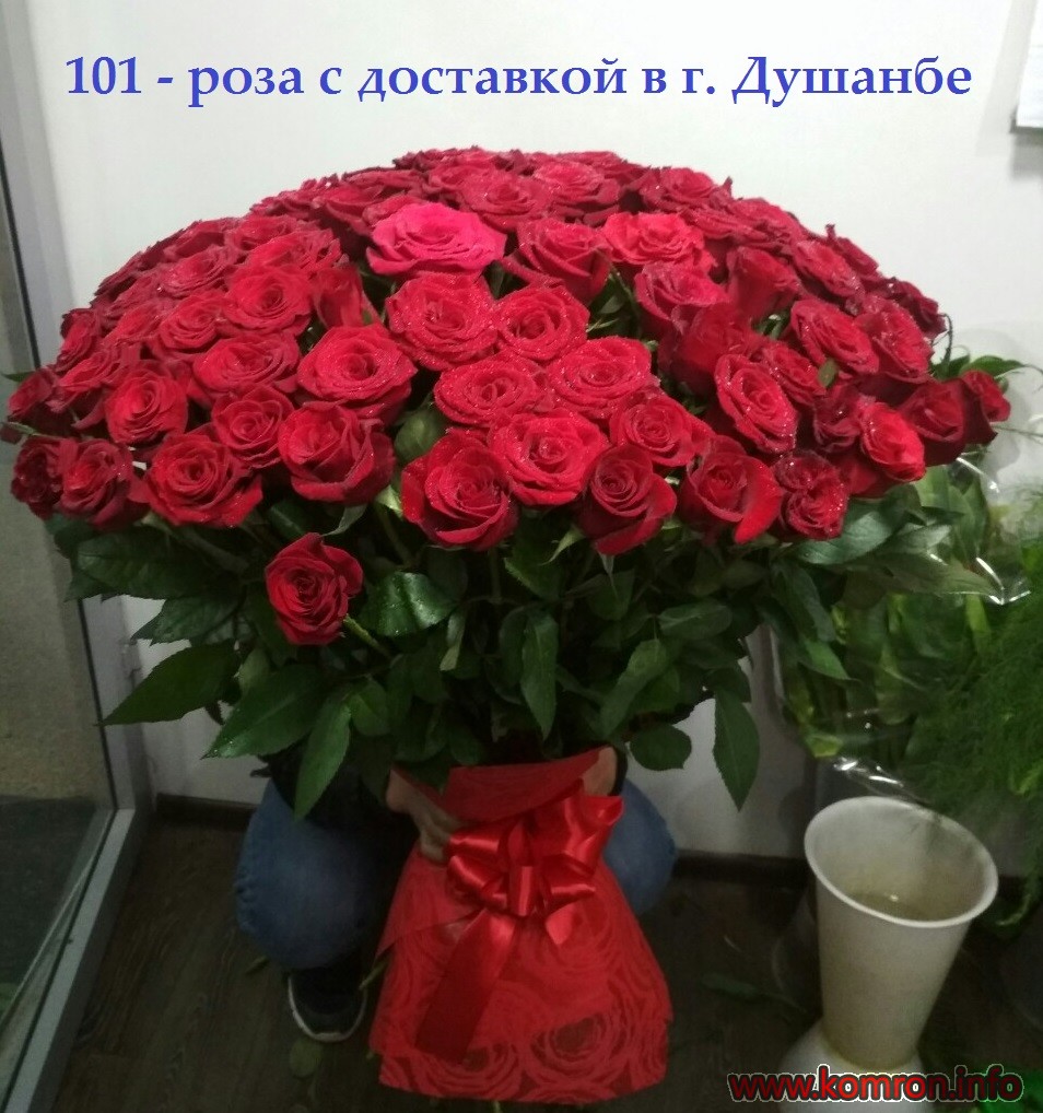 101 розы для для подарки